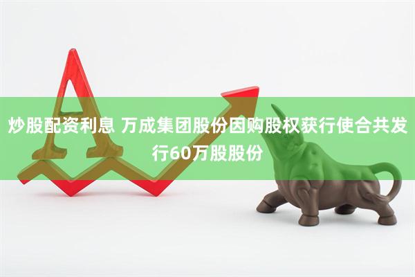炒股配资利息 万成集团股份因购股权获行使合共发行60万股股份