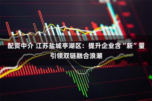 配资中介 江苏盐城亭湖区：提升企业含“新”量引领双链融合浪潮